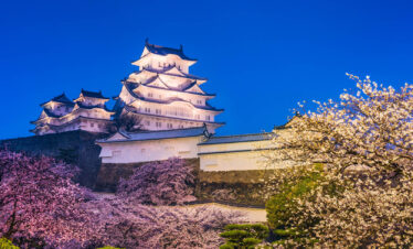 japonia wycieczka